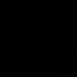 Meet your Posher, Brady